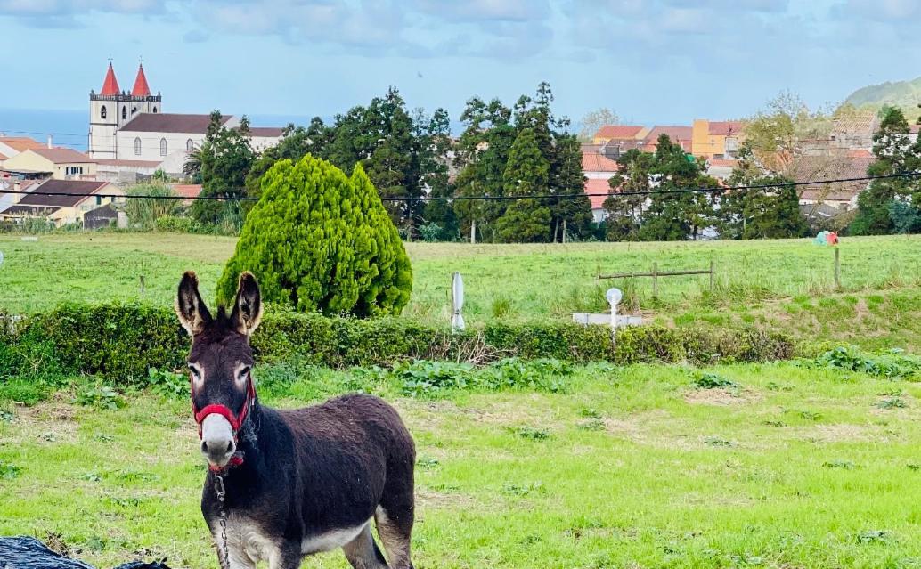 Quinta do Avô Dimas - Rural Home - São Brás Porto Formoso Extérieur photo