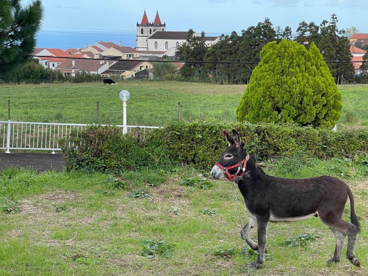 Quinta do Avô Dimas - Rural Home - São Brás Porto Formoso Extérieur photo